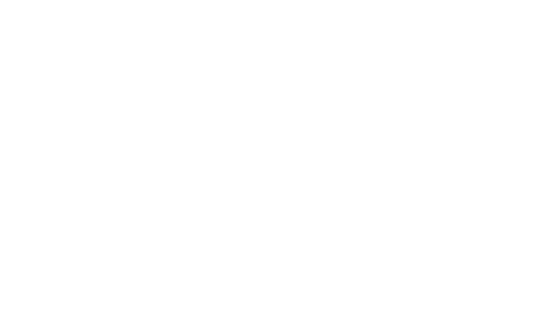 Risa
